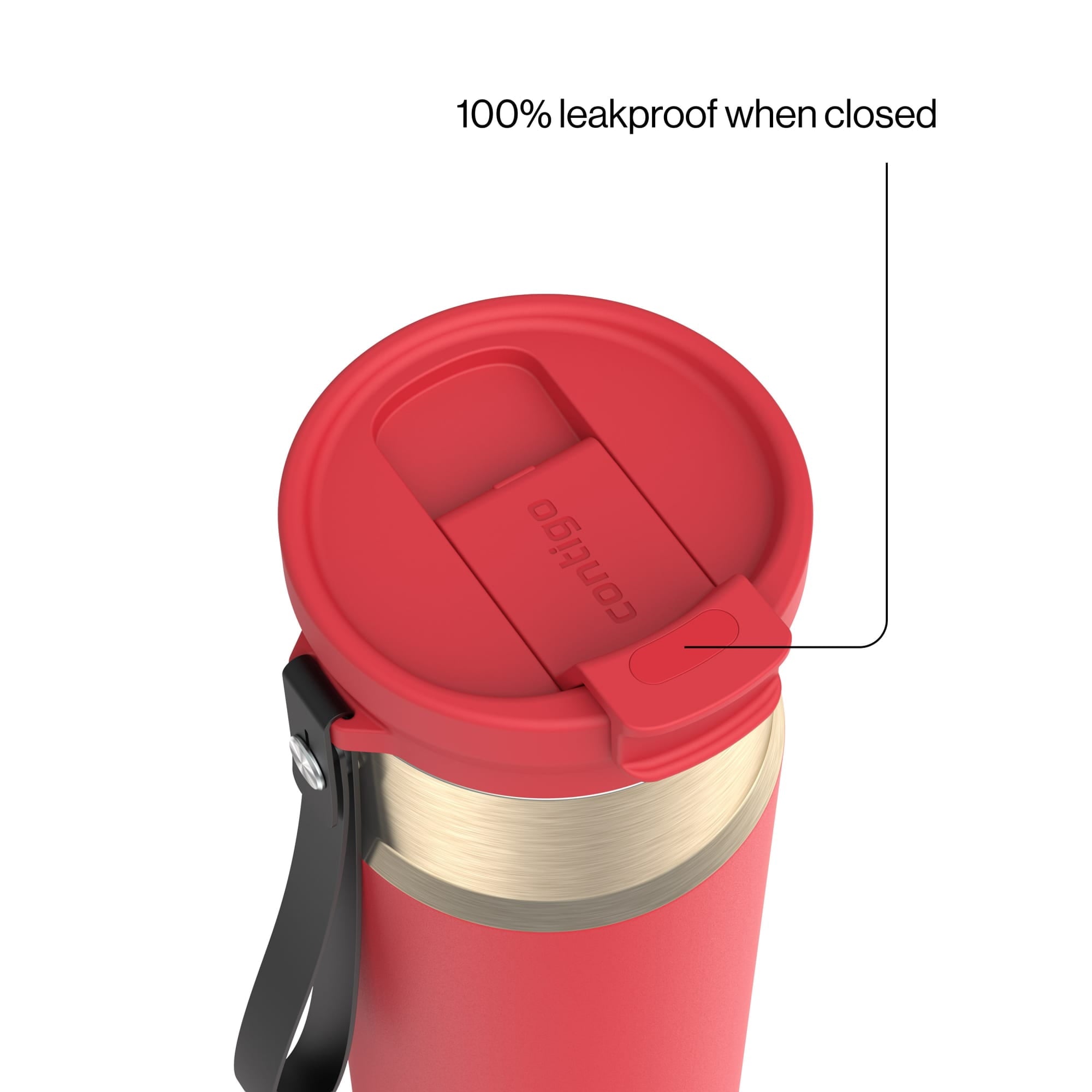 Contigo DualSip 24 oz Leakproof Insulated Water Bottle with Carrying Strap and 2-Way Lid - KUMW