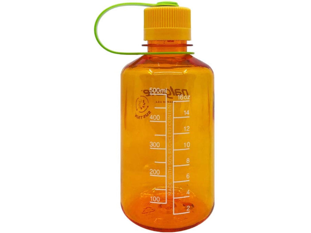 Nalgene Sustain 16 oz. Narrow Mouth Water Bottle - Cornflower Blue - CJ9M