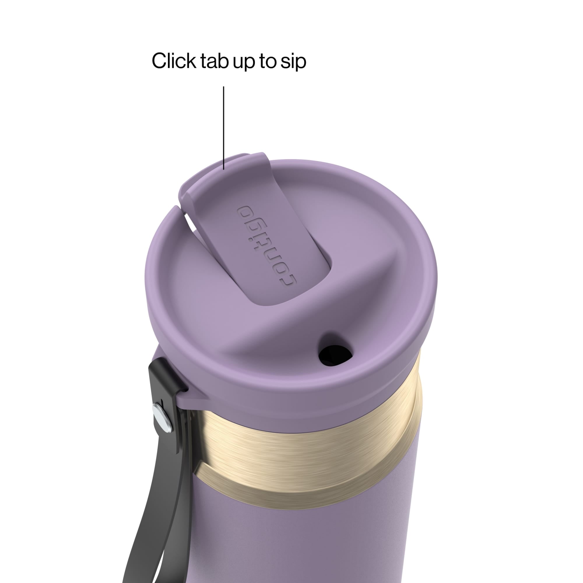 Contigo SnapSeal 16 oz Leakproof Stainless Steel Water Bottle with Carrying Strap - T83S
