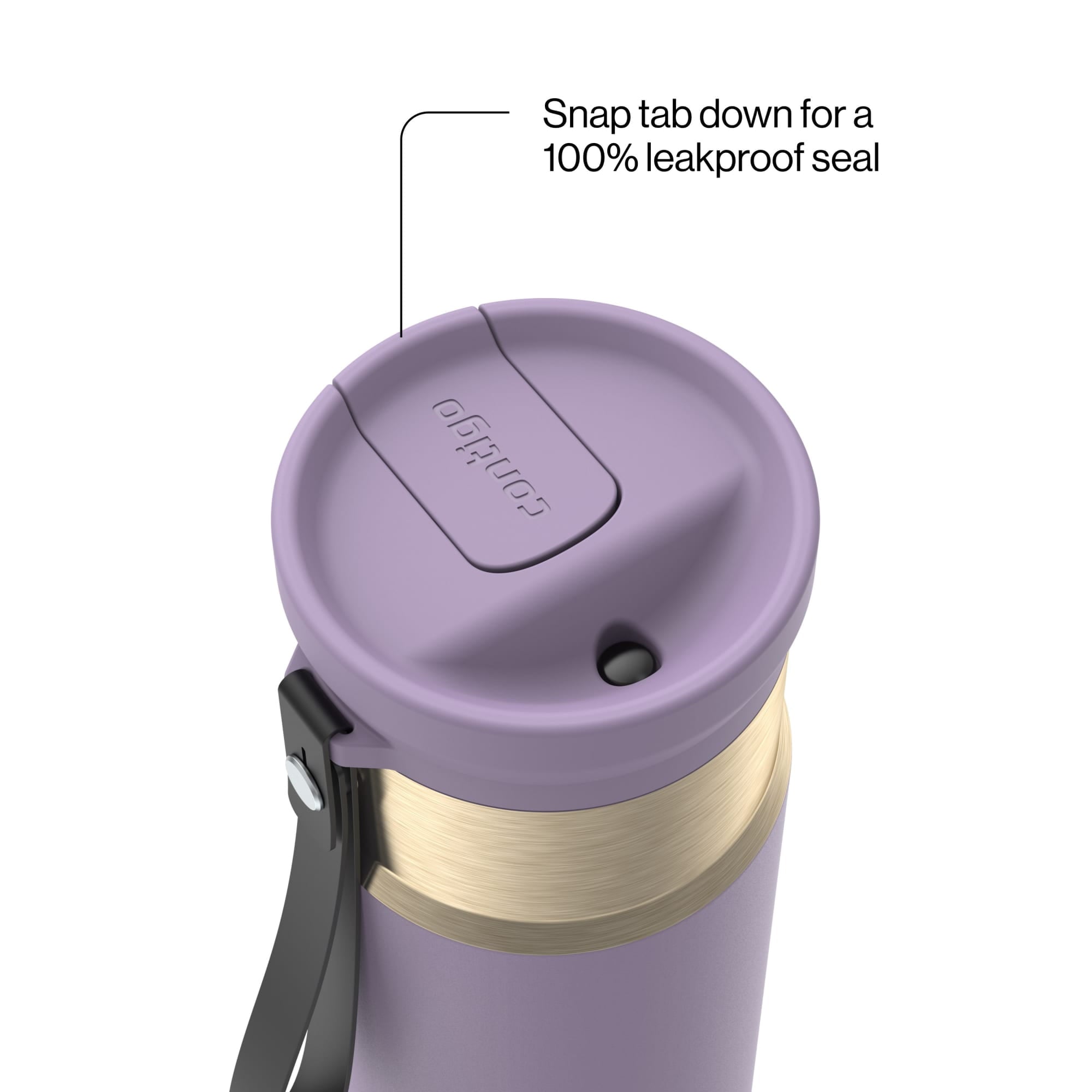 Contigo SnapSeal 16 oz Leakproof Stainless Steel Water Bottle with Carrying Strap - T83S
