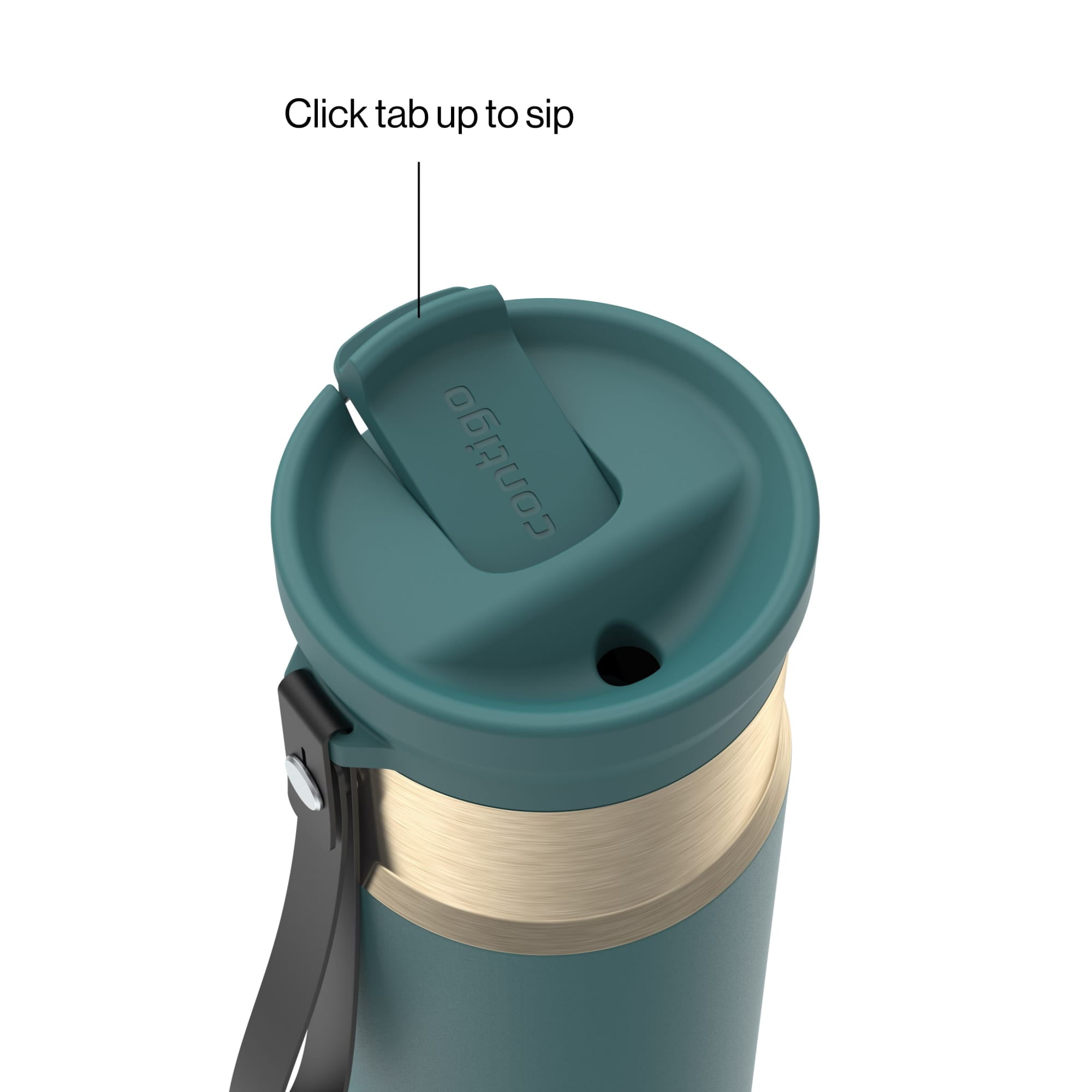 Contigo SnapSeal 16 oz Leakproof Stainless Steel Water Bottle with Carrying Strap - T83S