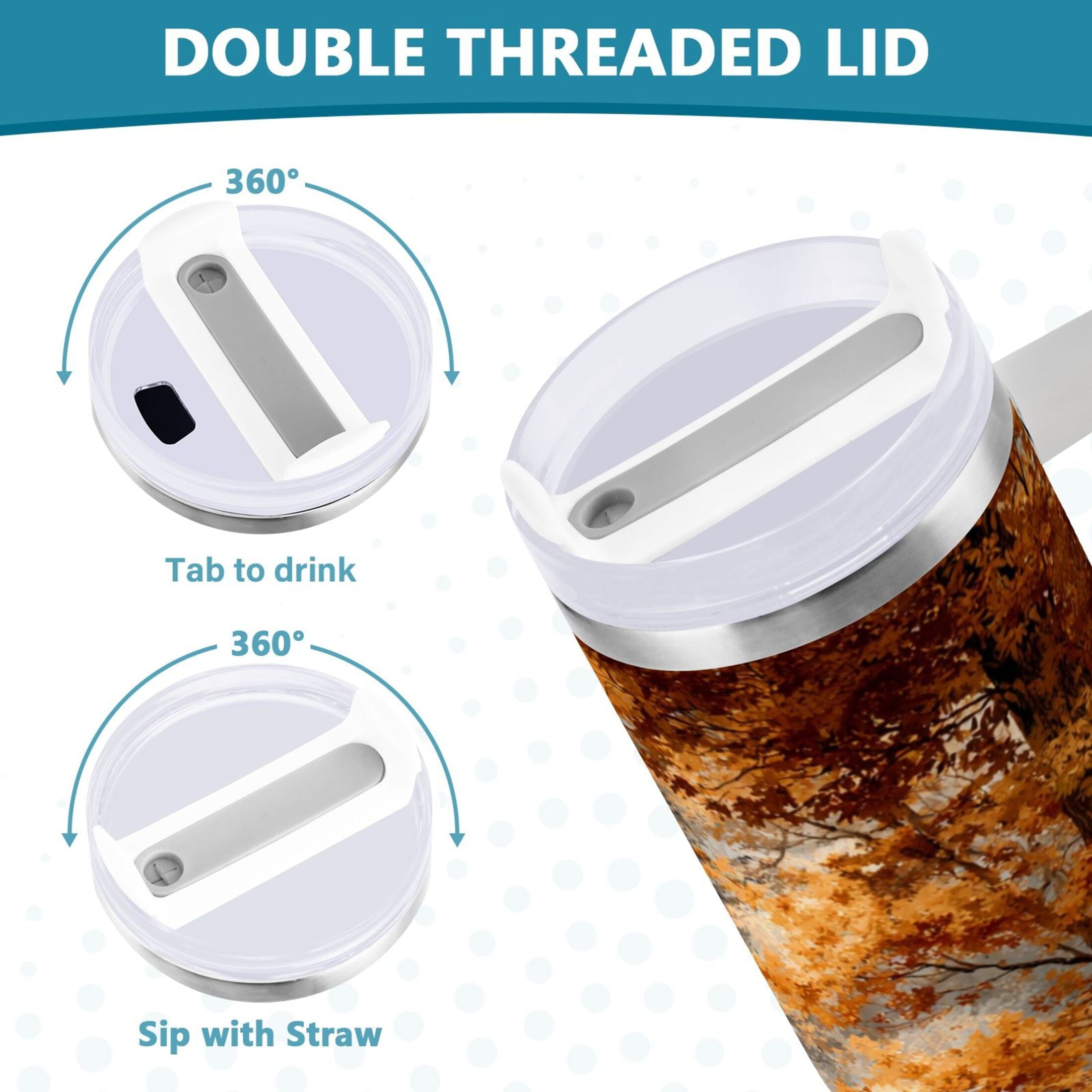 30 oz Insulated Stainless Steel Tumbler Double Wall Stainless Steel Tumbler with 2-Way Drinking Beautiful Autumn Forest - TMGP