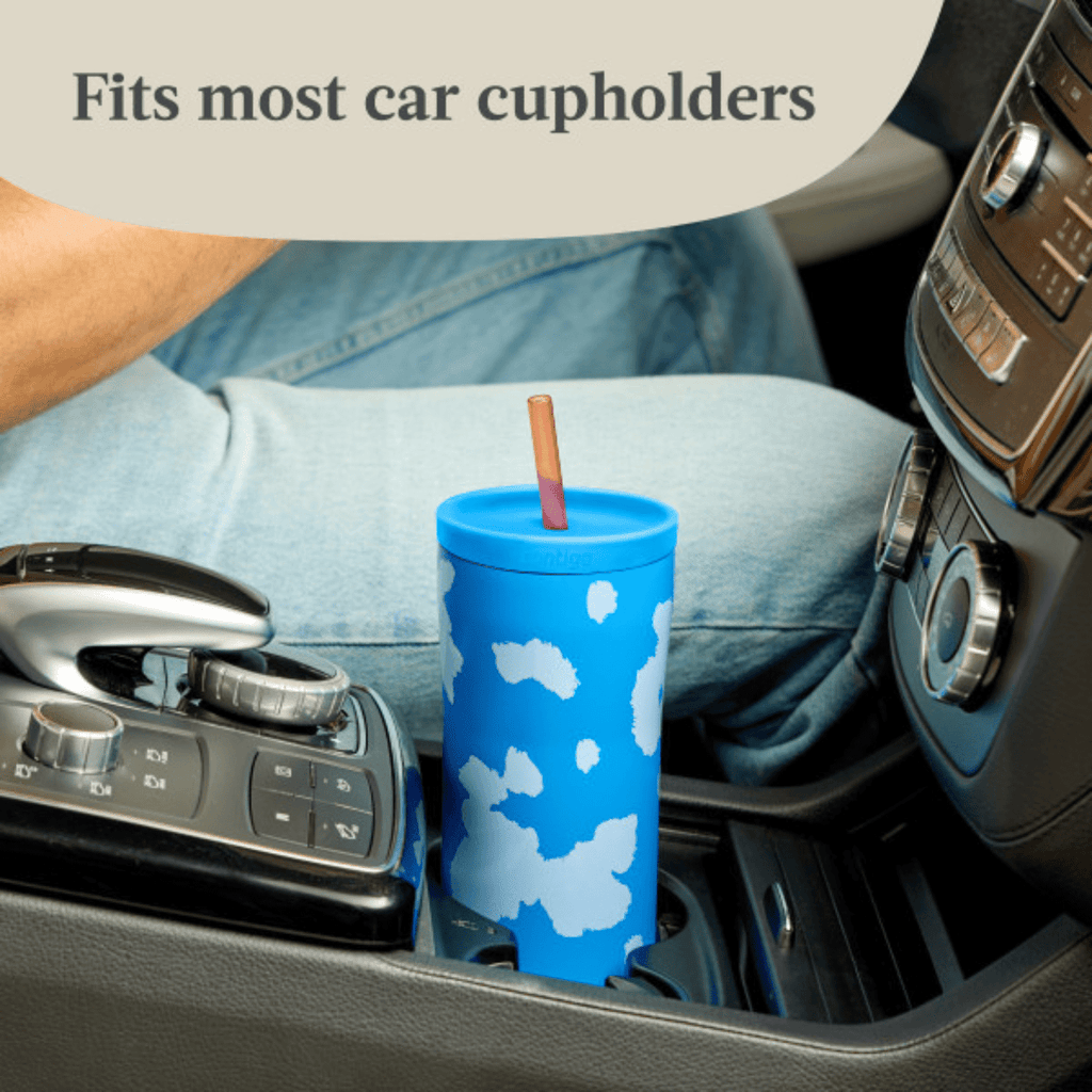 Contigo x Ally Love Streeterville 2.0 Stainless Steel Tumbler with Straw, 24 oz, Stellar Jay - RQB6