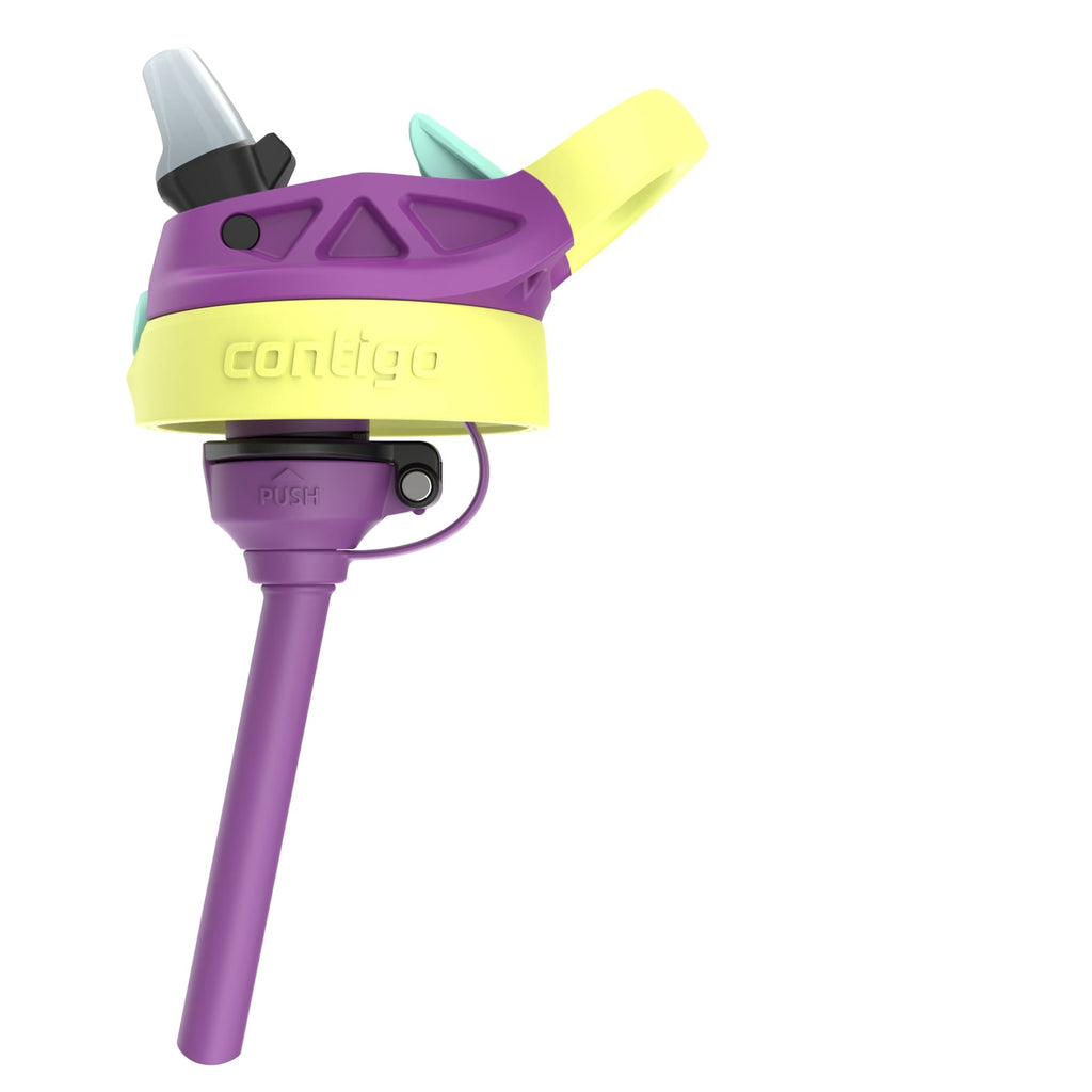 (4 pack) Contigo Kids Water Bottle with Redesigned AUTOSPOUT Straw, 14 oz, Grape Forest Haven - 73DQ