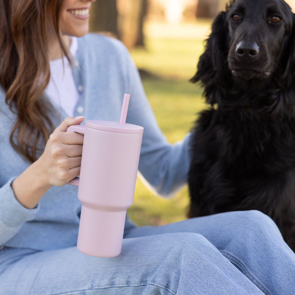Simple Modern 30 fl oz Insulated Stainless Steel Trek Tumbler with Straw Lid | Seaglass Sage and Cream Checkmate - 2P24