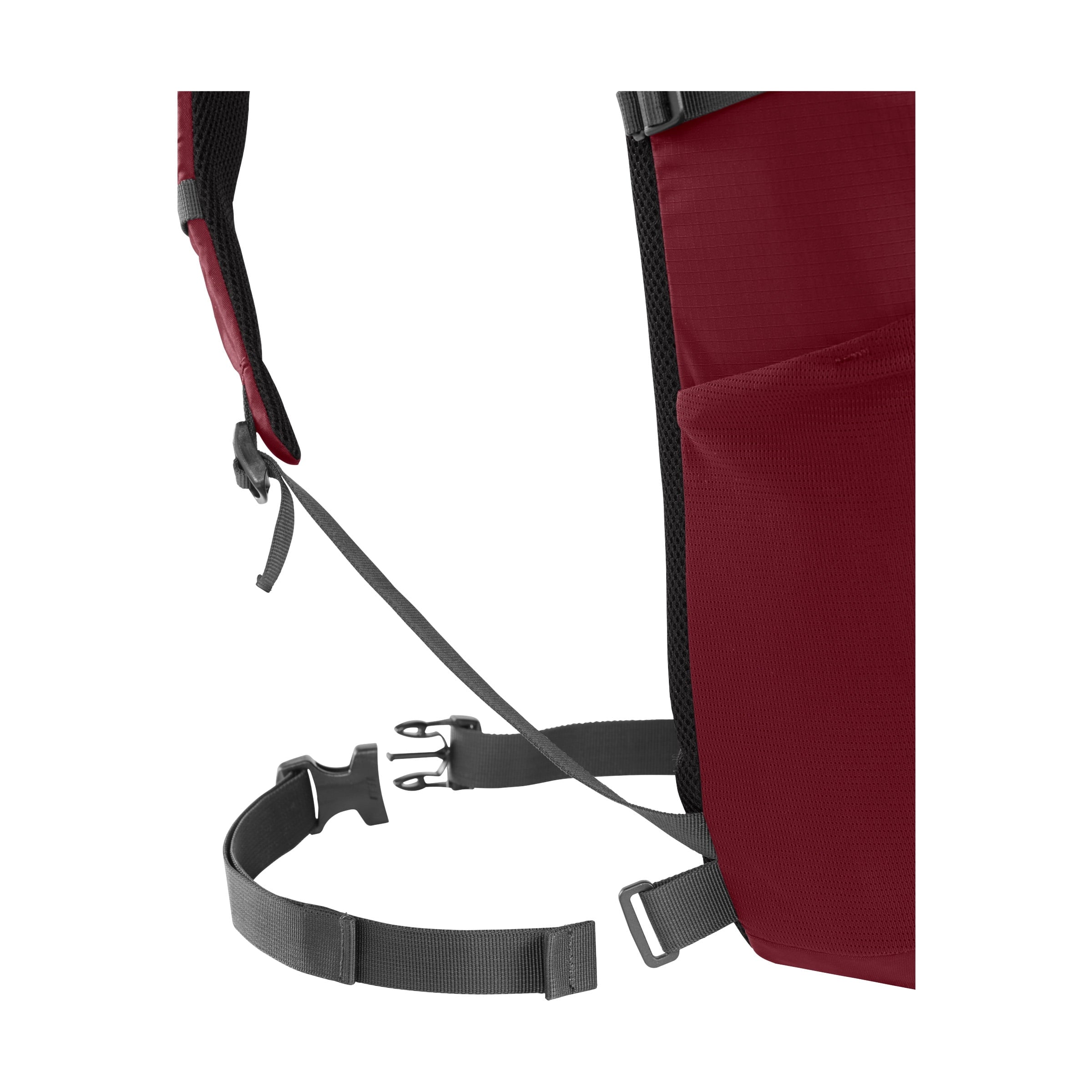 Camelbak Cloud Walker 18 85oz, Cabernet - BZKP