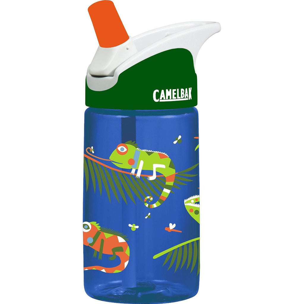 CamelBak Eddy Kids BPA Free Water Bottle Airplane Bandits Bottle Only - KYGN