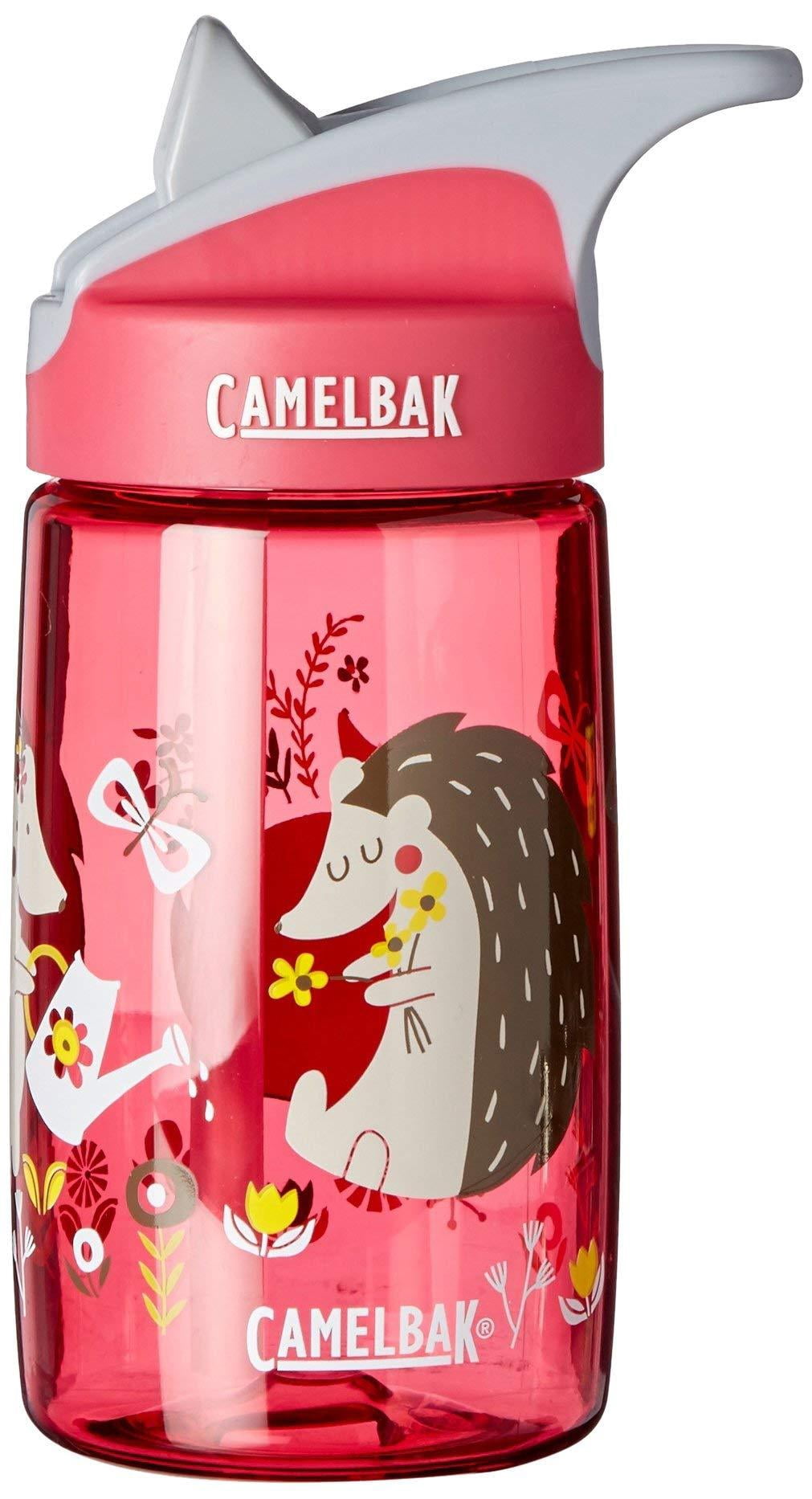 CamelBak Eddy Kids BPA Free Water Bottle Airplane Bandits Bottle Only - KYGN