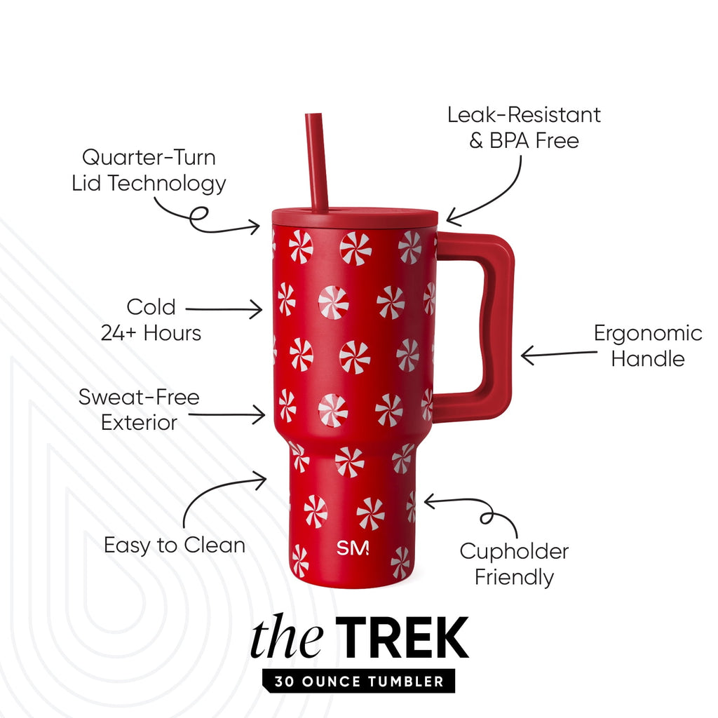 Simple Modern 30 fl oz Insulated Stainless Steel Trek Tumbler with Straw Lid | Seaglass Sage and Cream Checkmate - 2P24