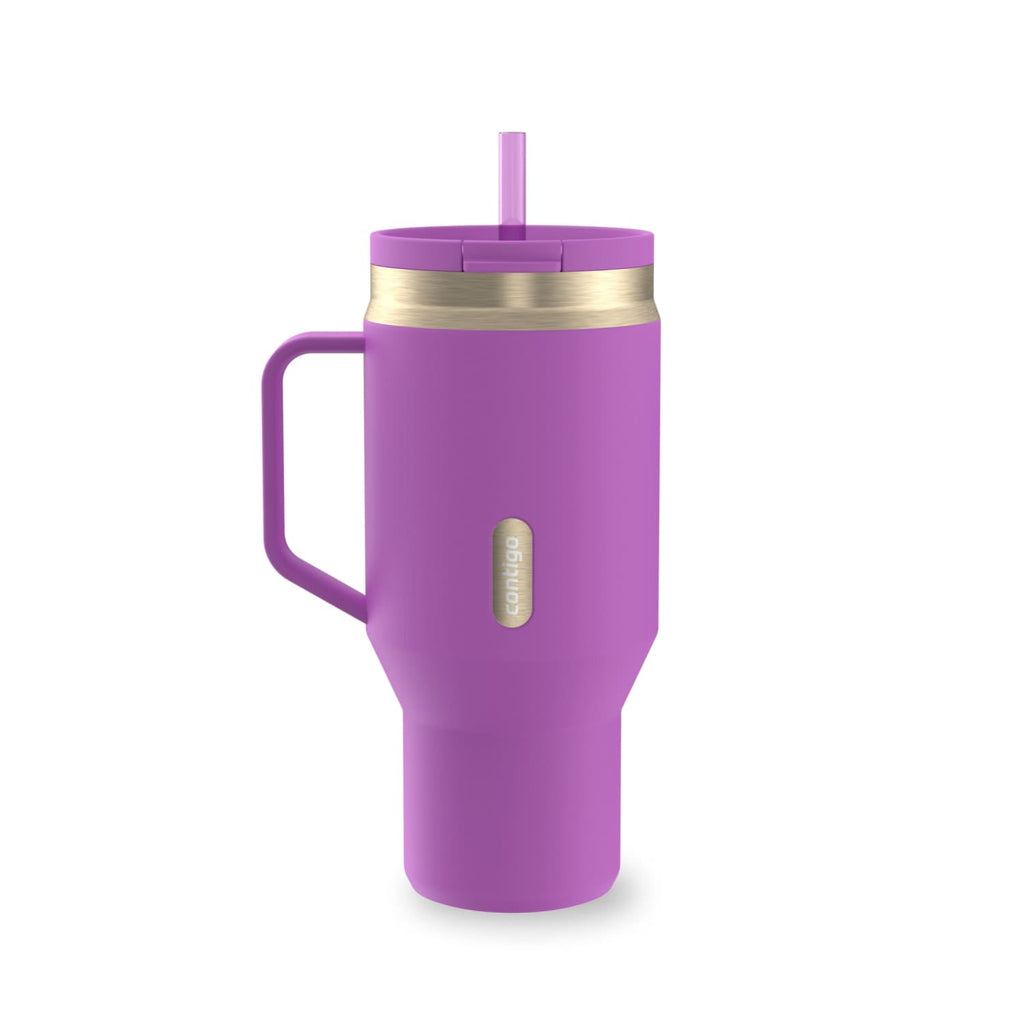 Contigo SnapSeal Leakproof Stainless Steel Reusable Water Bottle Tumbler with Side Handle, Black/Bronze, 30 oz - K4KT
