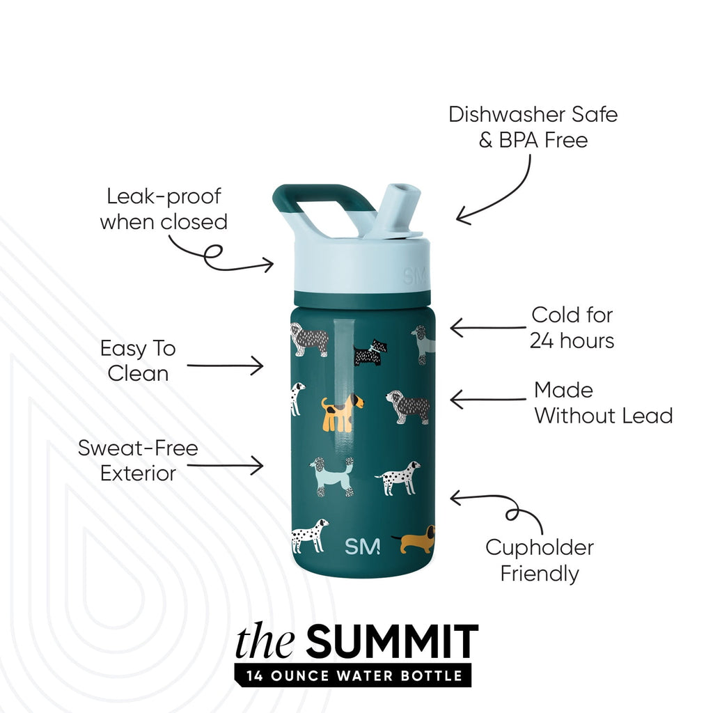 Simple Modern 14oz Summit Water Bottle with Straw Lid | Confetti - NFXV