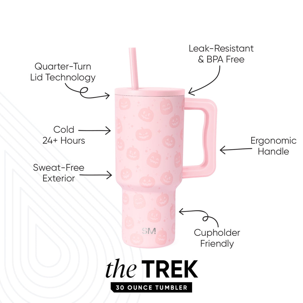 Simple Modern 30 fl oz Insulated Stainless Steel Trek Tumbler with Straw Lid | Seaglass Sage and Cream Checkmate - 2P24