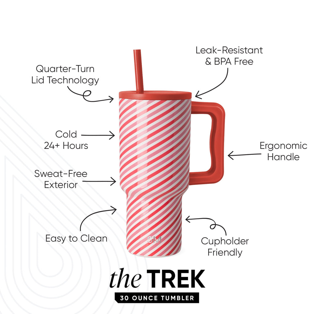 Simple Modern 30 fl oz Insulated Stainless Steel Trek Tumbler with Straw Lid | Seaglass Sage and Cream Checkmate - 2P24