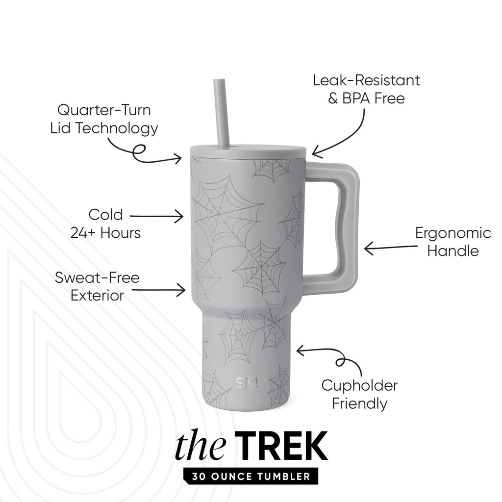 Simple Modern 30 fl oz Insulated Stainless Steel Trek Tumbler with Straw Lid | Seaglass Sage and Cream Checkmate - 2P24