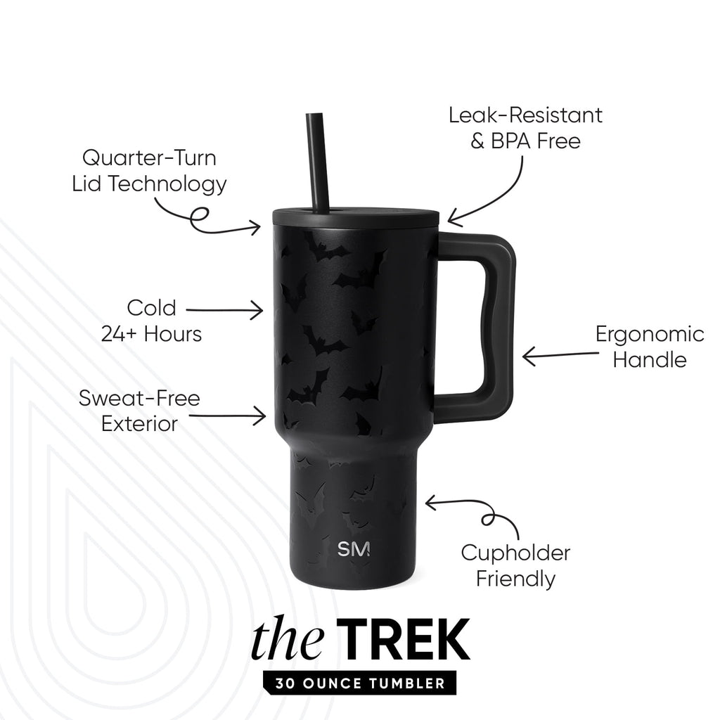 Simple Modern 30 fl oz Insulated Stainless Steel Trek Tumbler with Straw Lid | Seaglass Sage and Cream Checkmate - 2P24